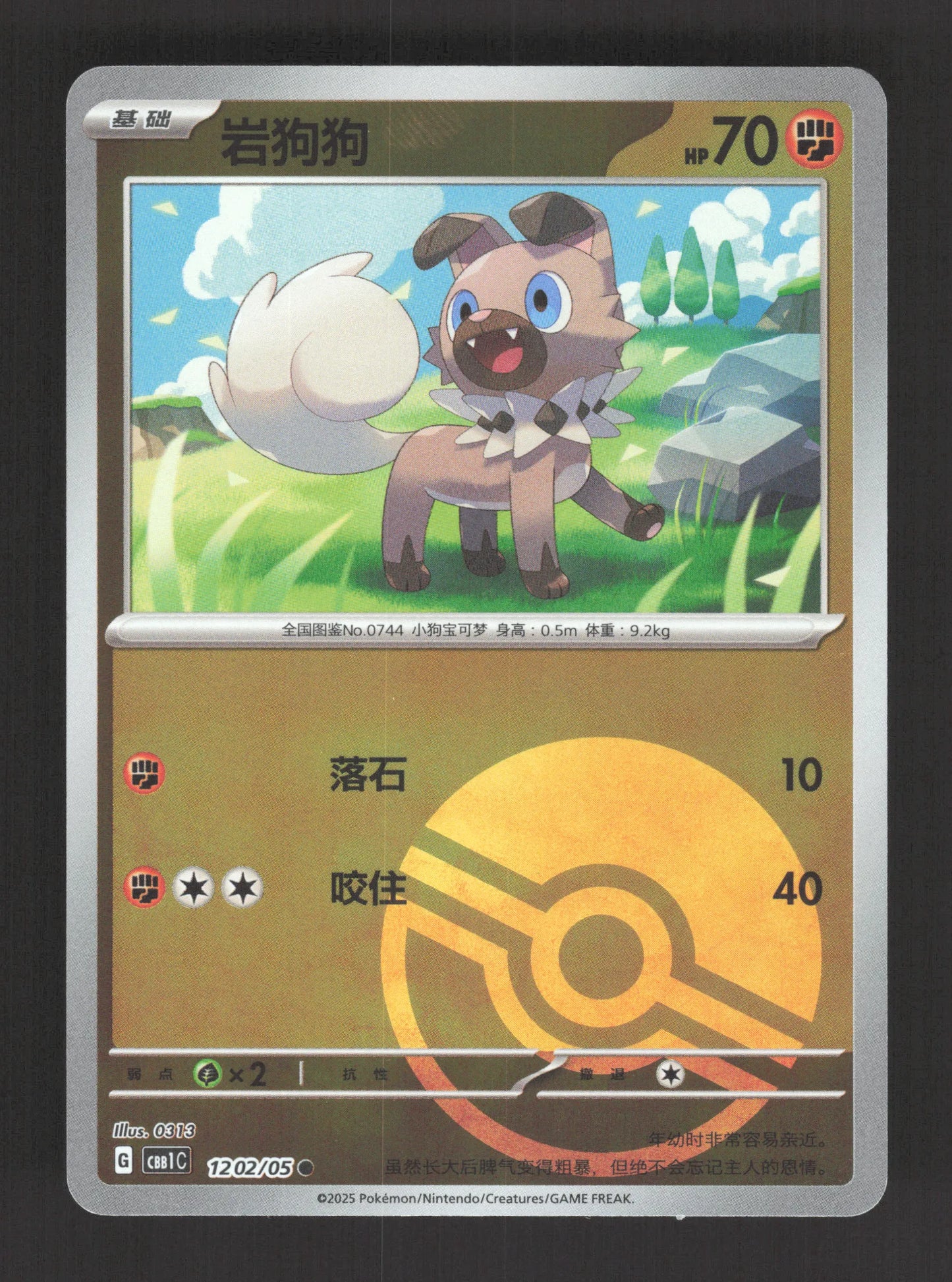 1202/05 Rocabot POKEBALL CN - Chinois