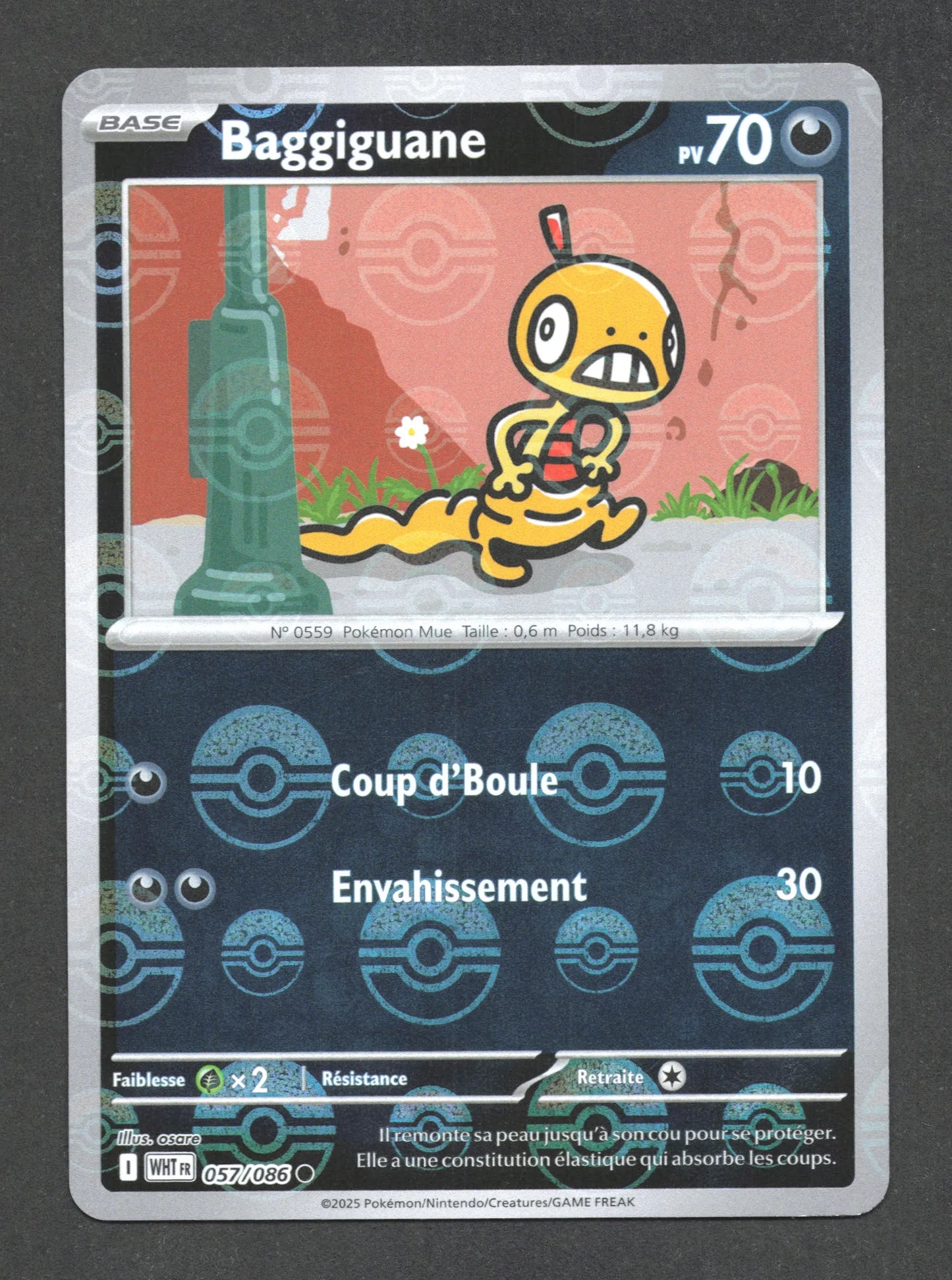057/086 Baggiguane POKEBALL - Flamme Blanche - Pokeball