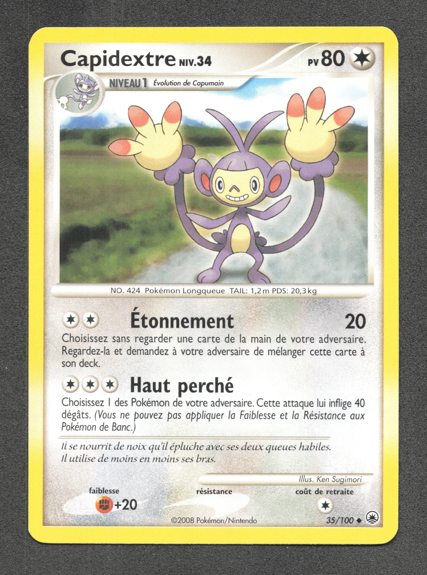 35/100 Capidextre UNCO - Aube Majestueuse