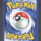 104/105 Poudre Soin DRESSEUR - Neo Destiny