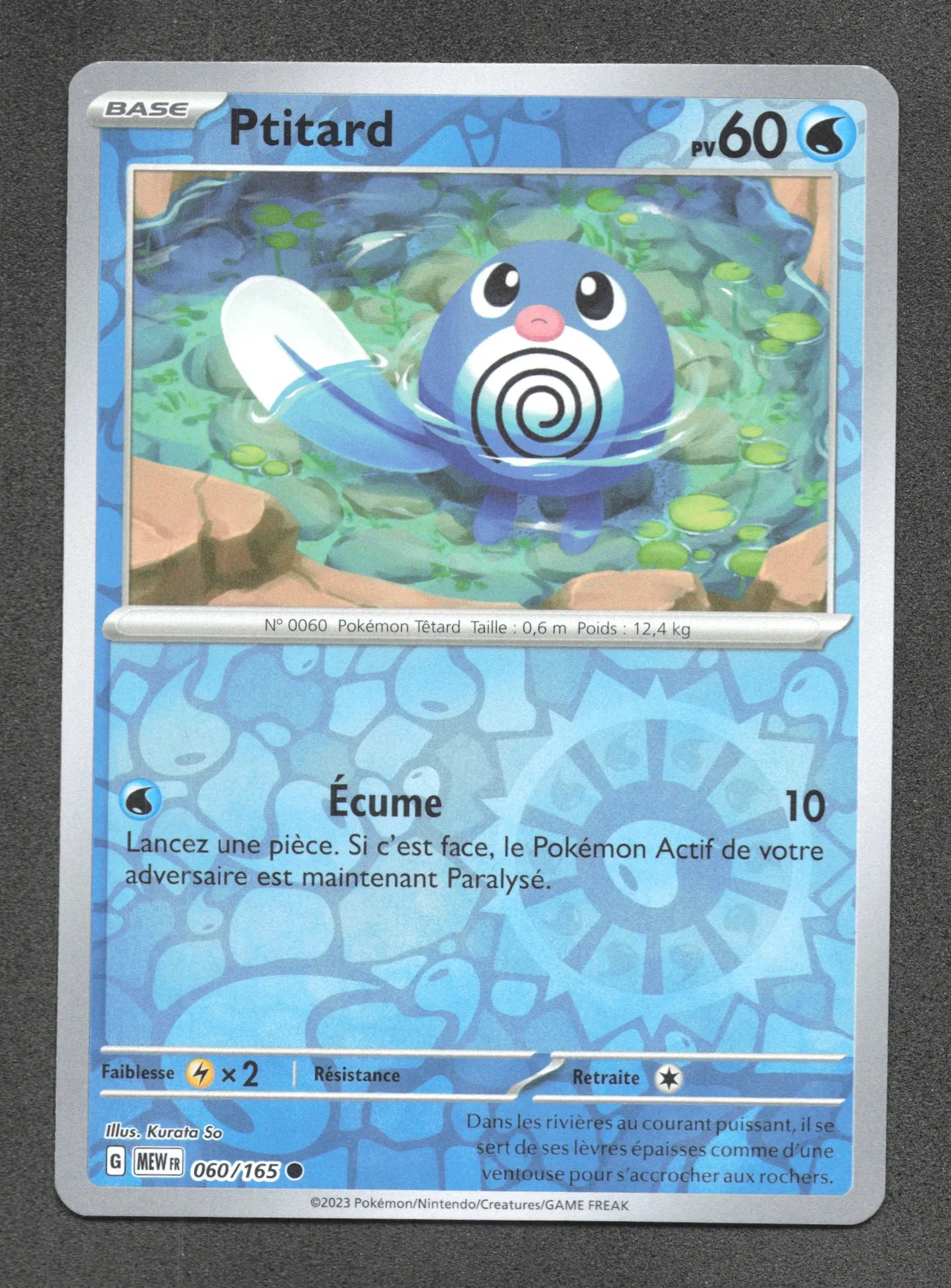 060/165 Ptitard REVERSE - 151