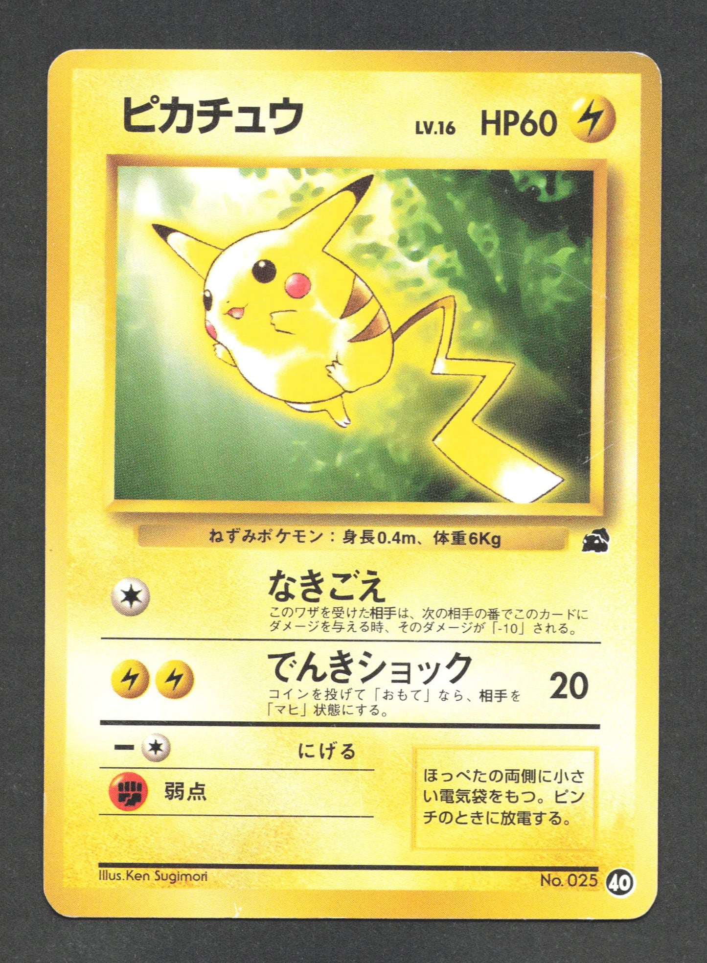 025 Pikachu PROMO JP - Intro Pack Bulbasaur Deck