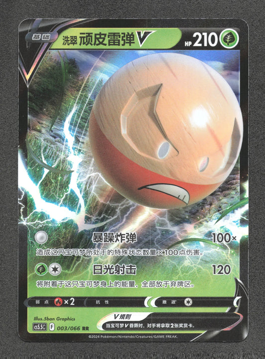 003/066 Electrode V CN - Chinois