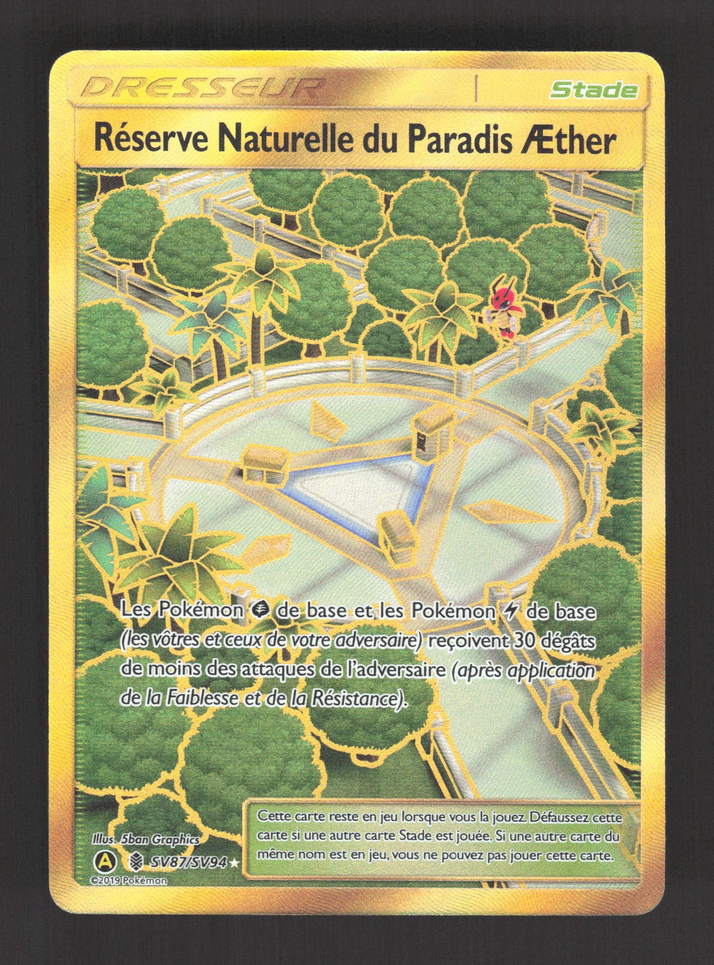 SV87/SV94 Reserve Naturelle du Paradis AEther DRESSEUR - Destinées Occultes