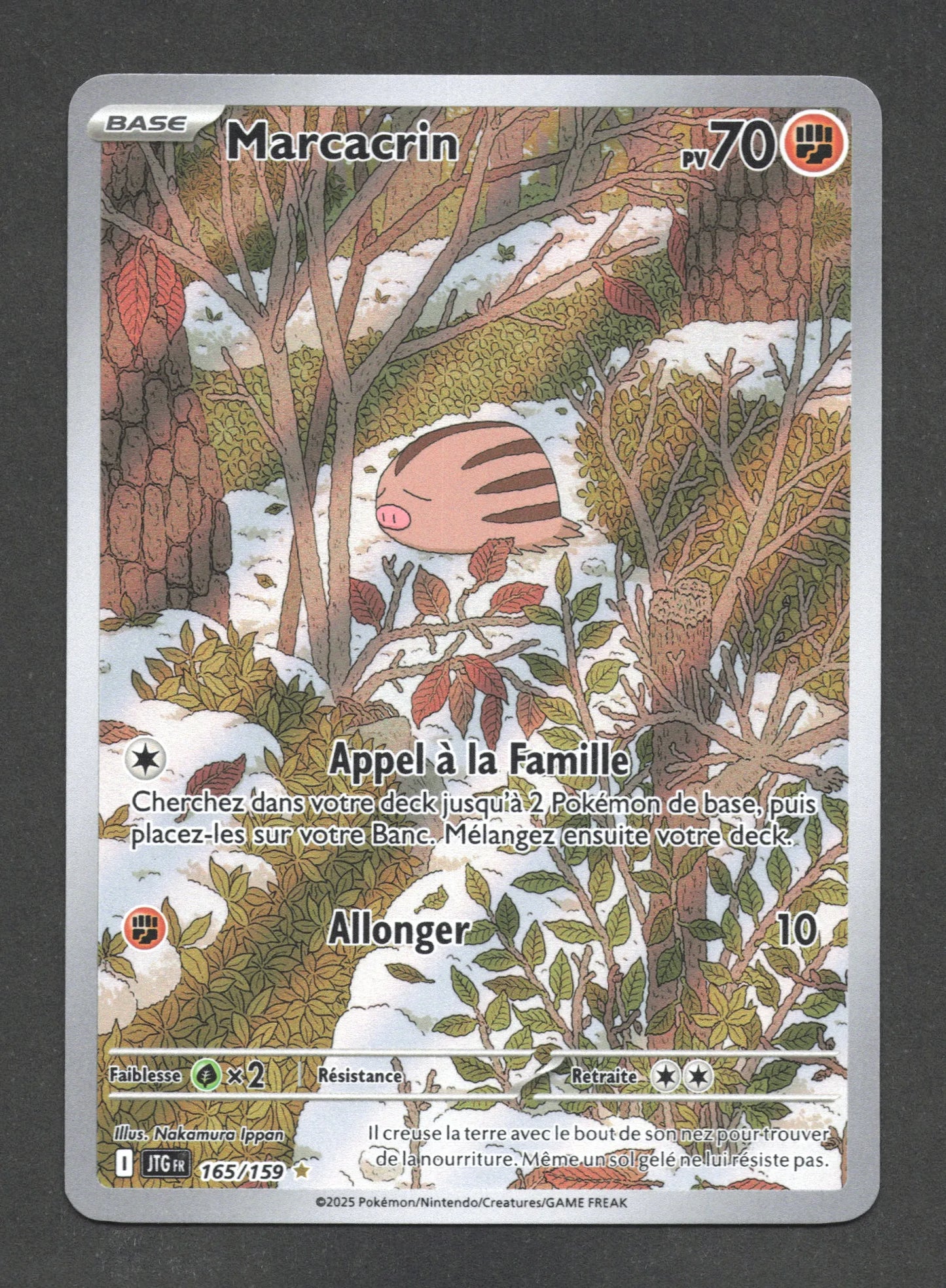 165/159 Marcacrin AR - Aventures Ensemble