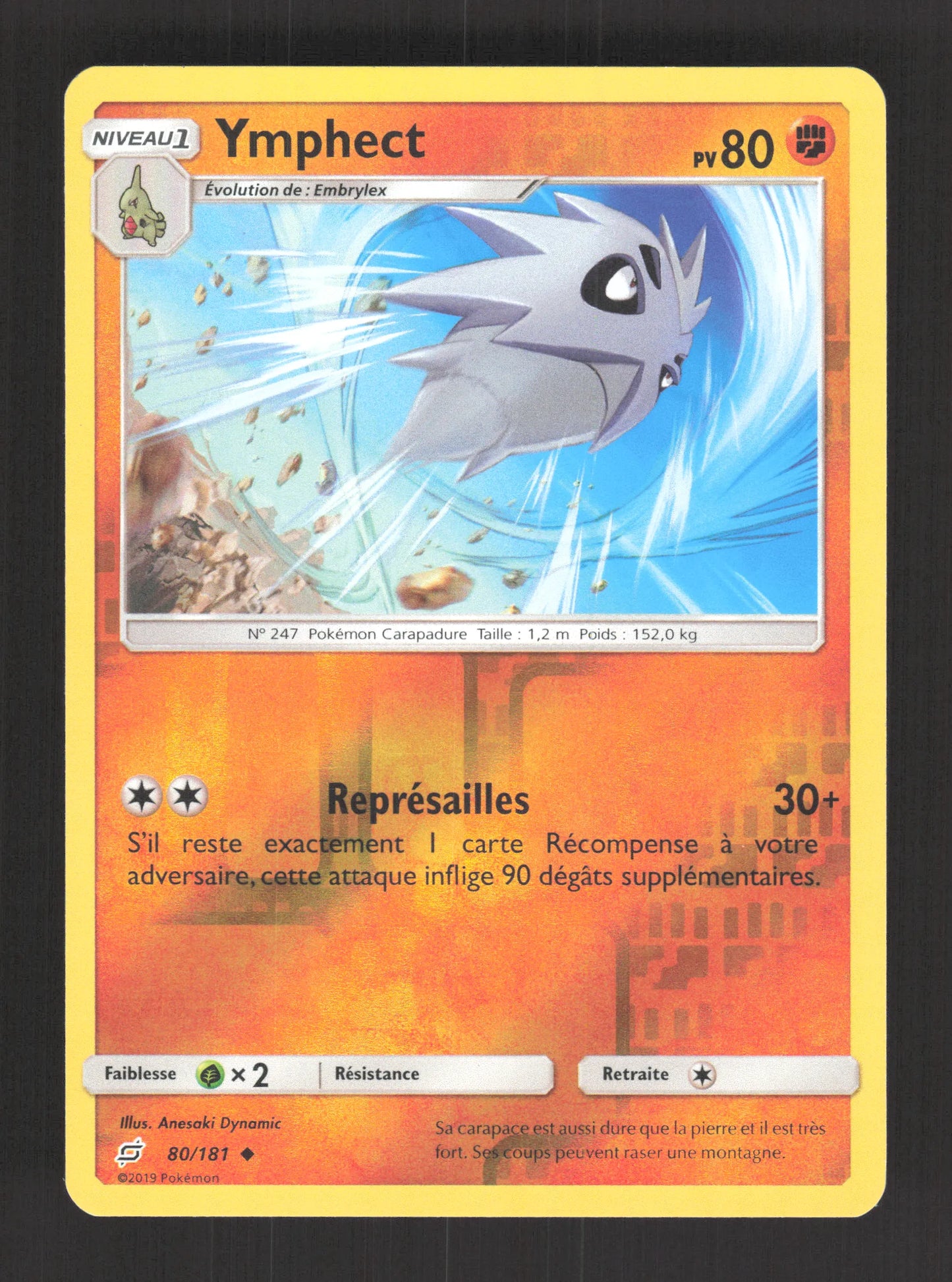80/181 Ymphect REVERSE - Duo de Choc