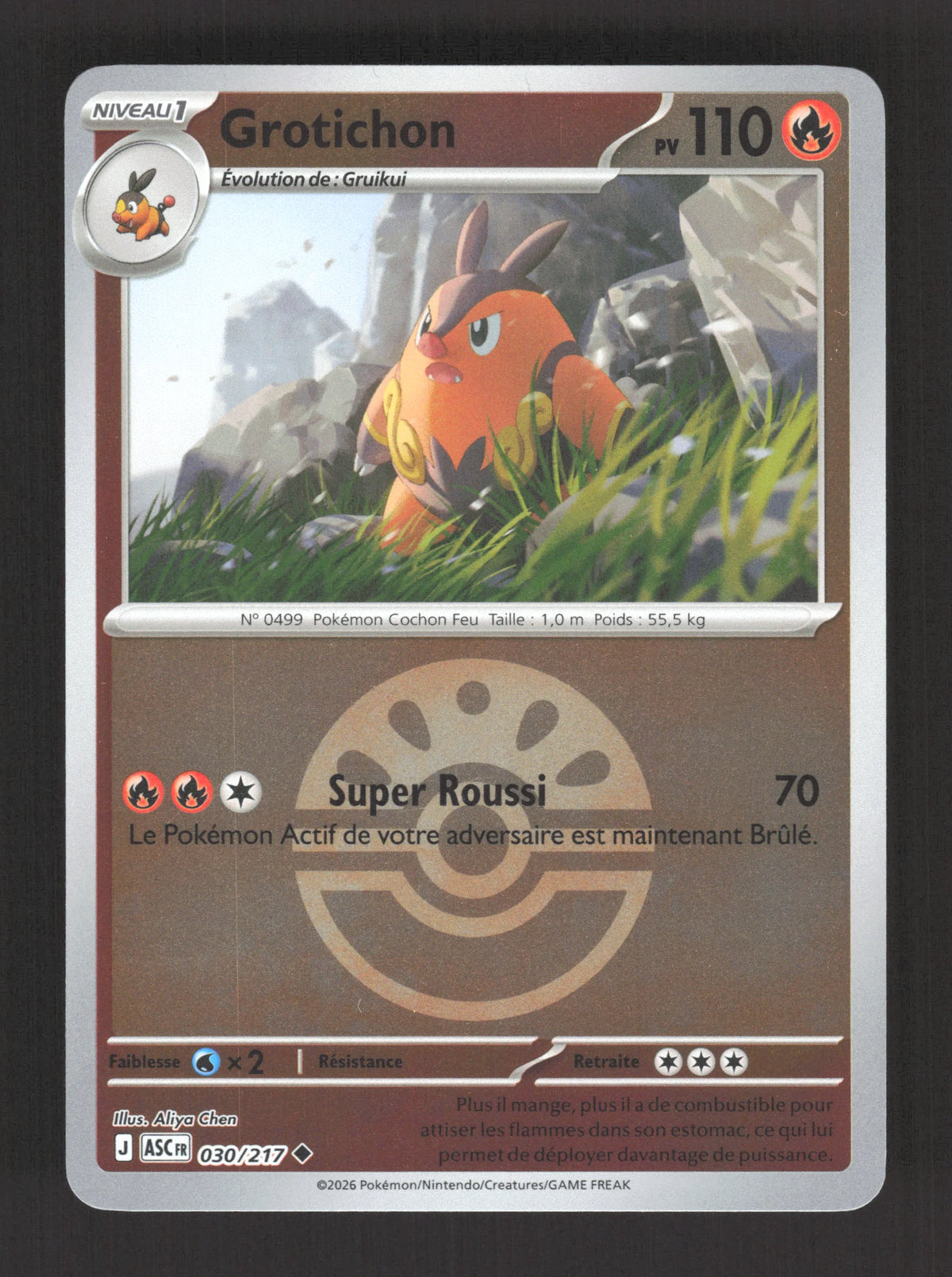 030/217 Grotichon POKEBALL - Héros Transcendants