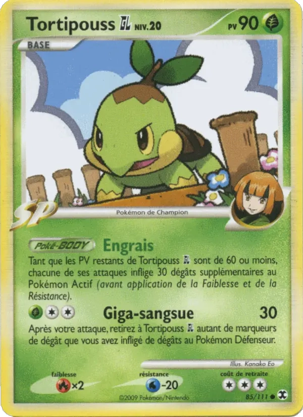 85/111 Tortipouss CO - Rivaux Émergeants