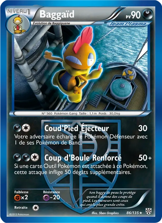 86/135 Baggaid REVERSE - Tempête Plasma