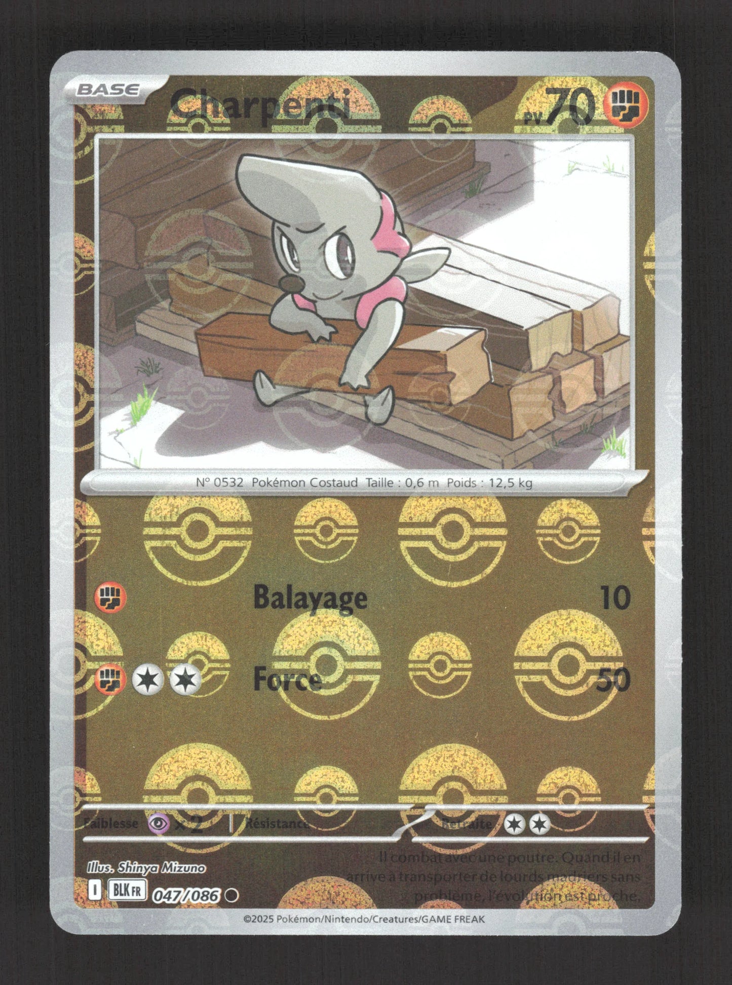 047/086 Charpenti POKEBALL - Foudre Noire
