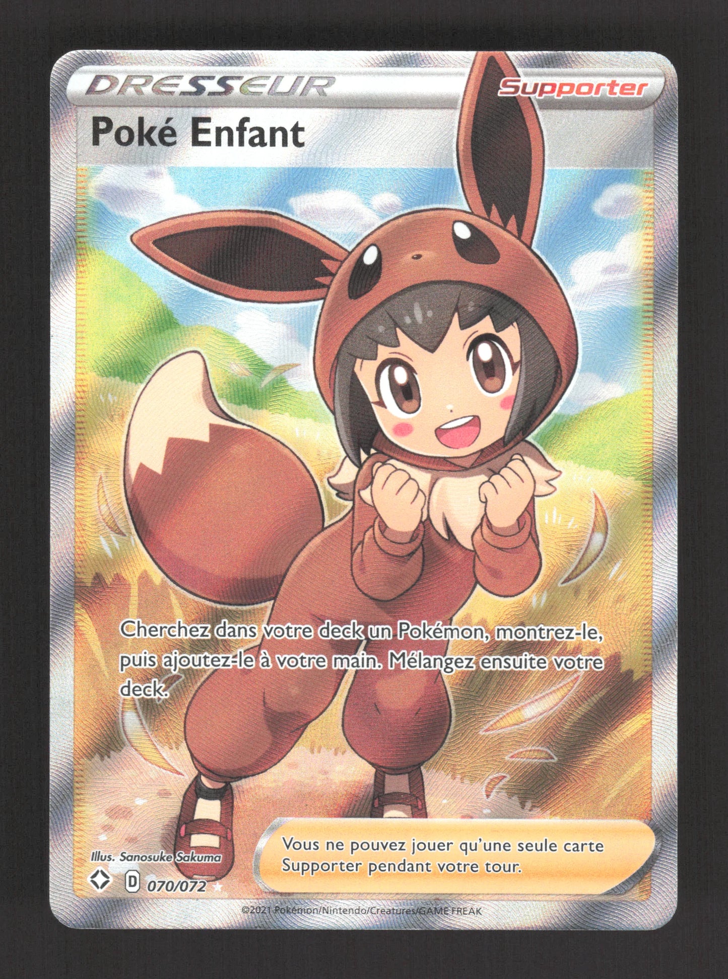 070/072 Poke Enfant DRESSEUR - Destinées Radieuses