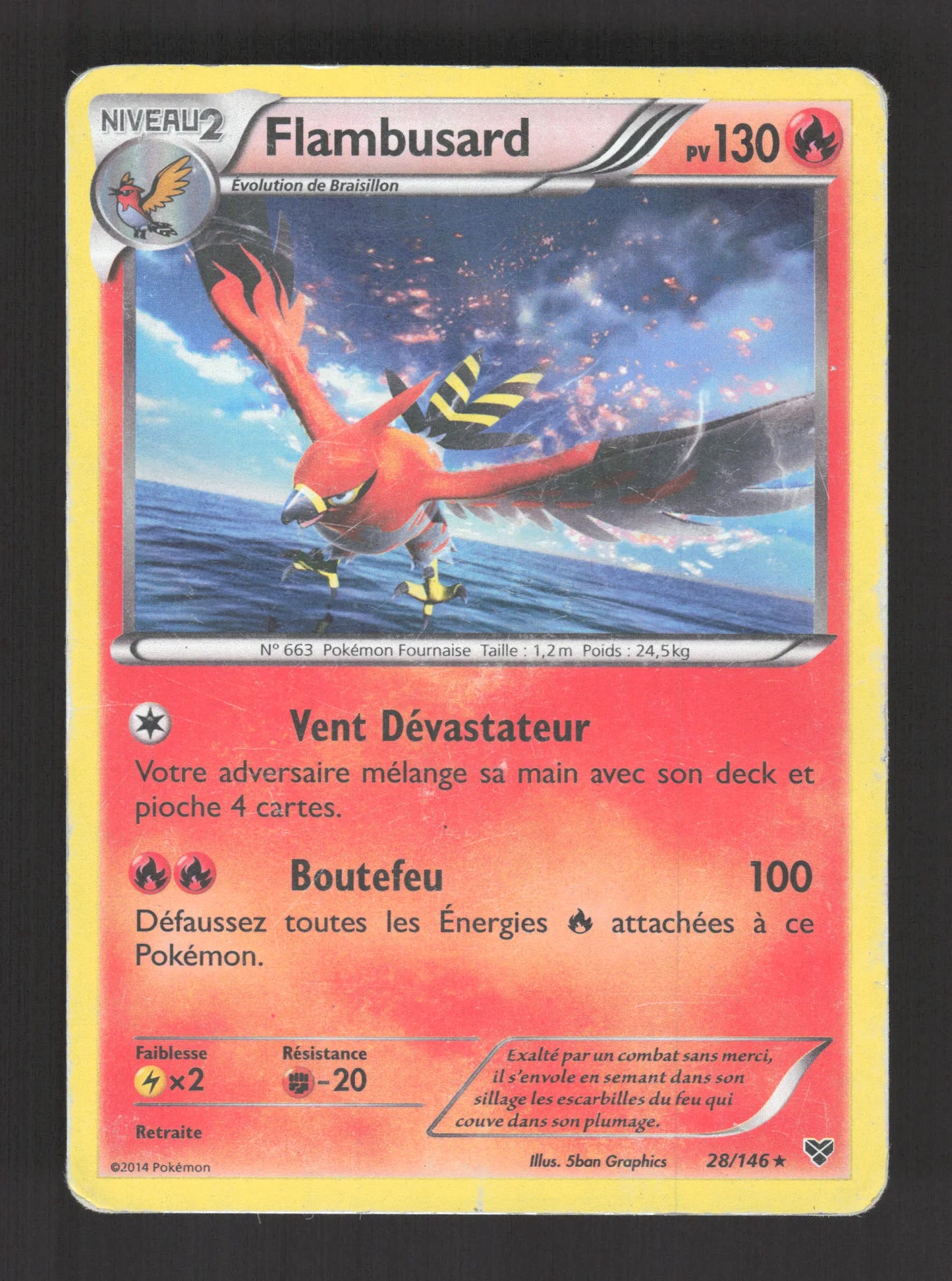 28/146 Flambusard HOLO - XY