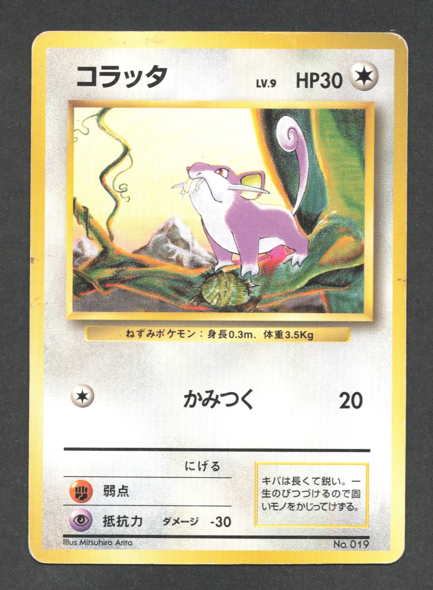 019 Rattata NO RARITY JP - Expansion Pack