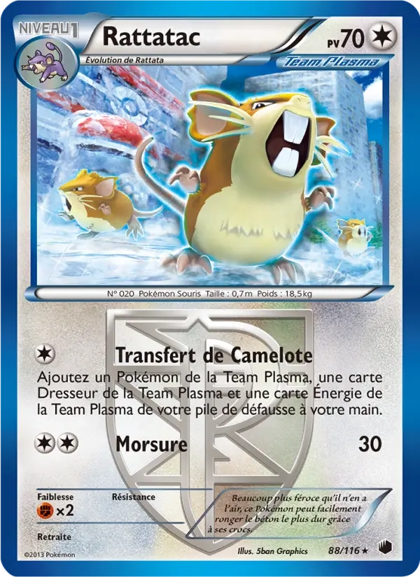 88/116 Rattatac REVERSE - Glaciation Plasma