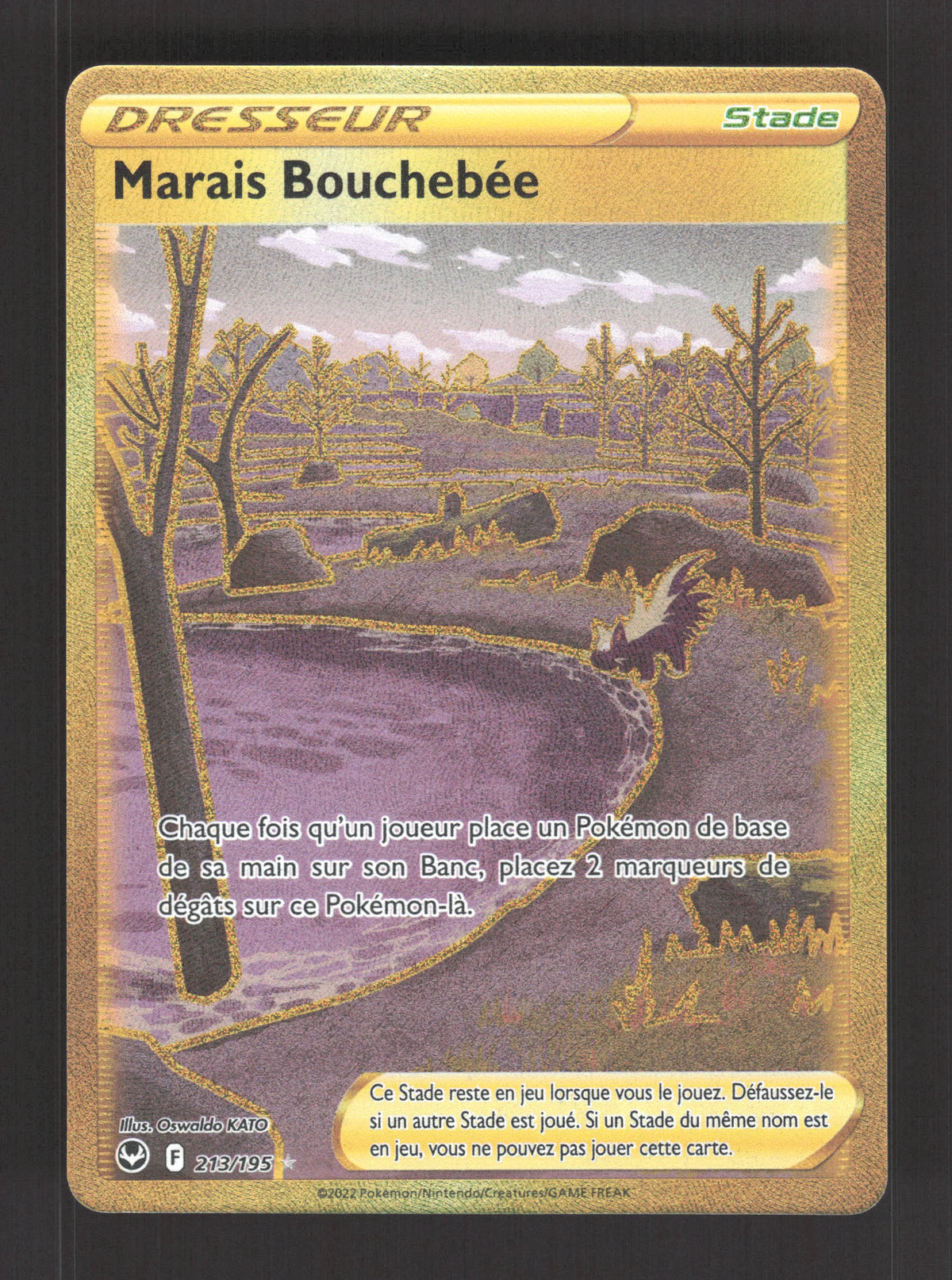 213/195 Marais Bouchebee DRESSEUR - Tempête Argentée