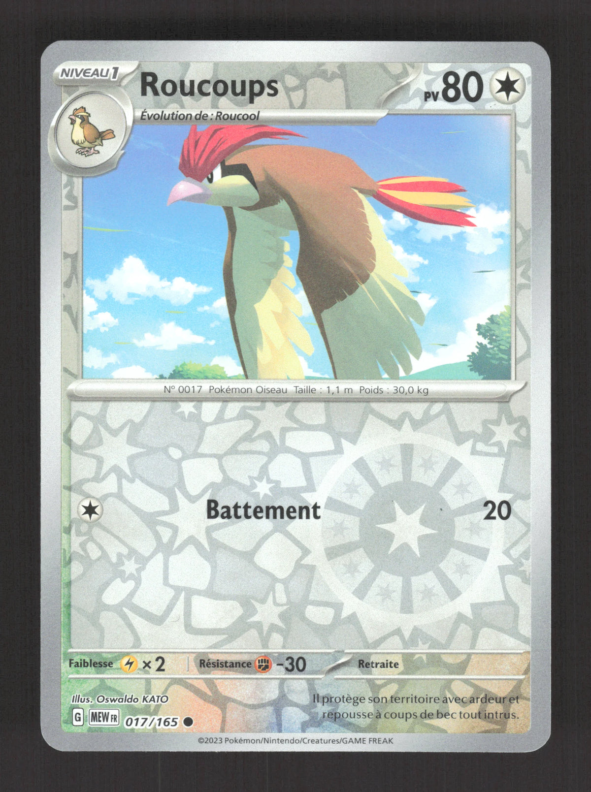 017/165 Roucoups REVERSE - 151