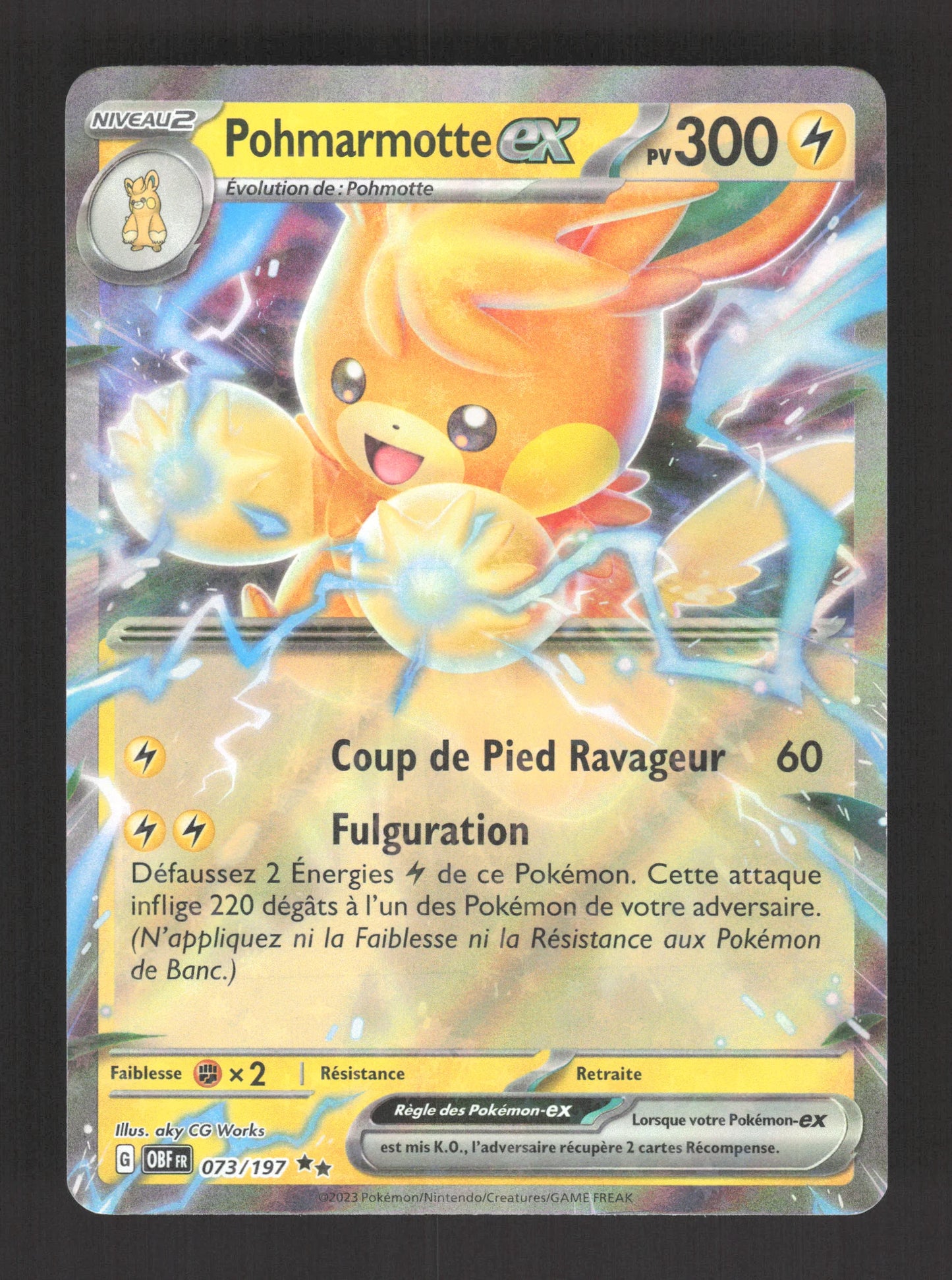 073/197 Pohmarmotte EX - Flammes Obsidiennes