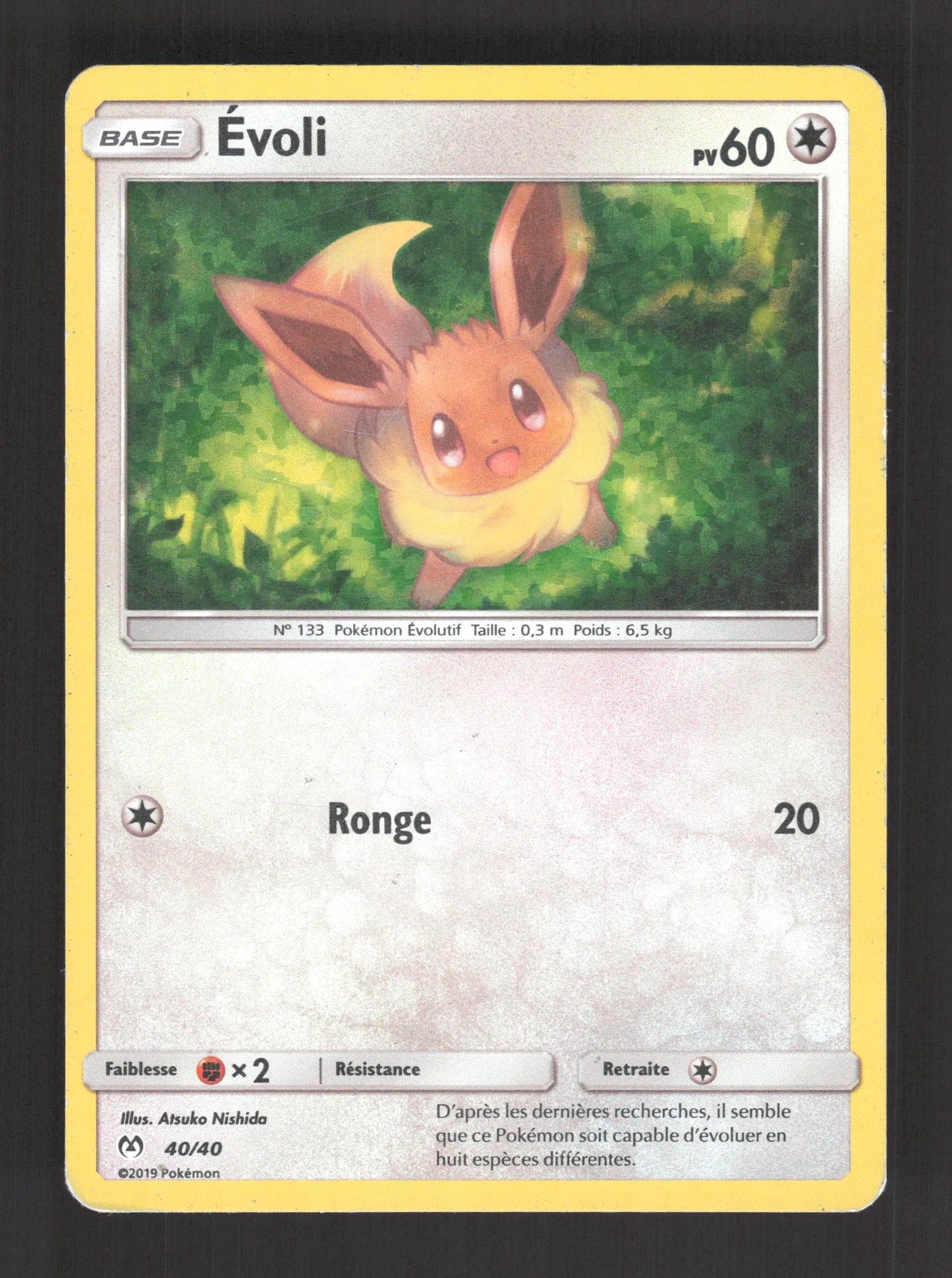 40/40 Evoli HOLO - McDonald's 2019