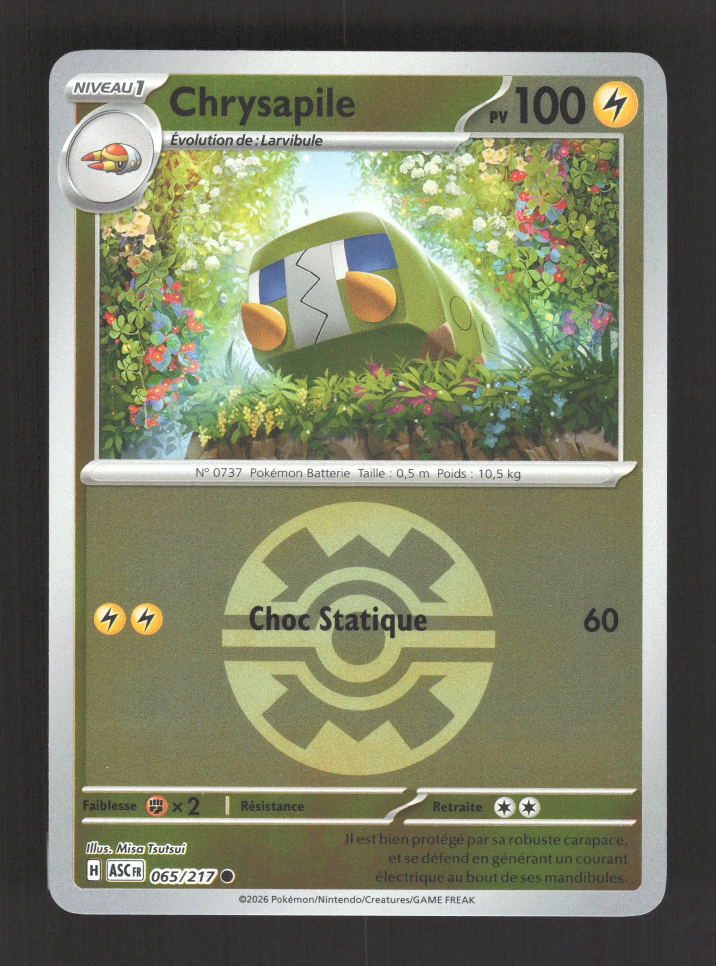 065/217 Chrysapile POKEBALL - Héros Transcendants
