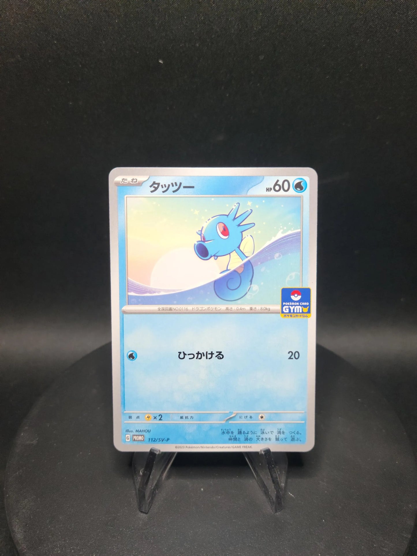 112/SV-P Hypotrempe PROMO JP - SV-P Promotional