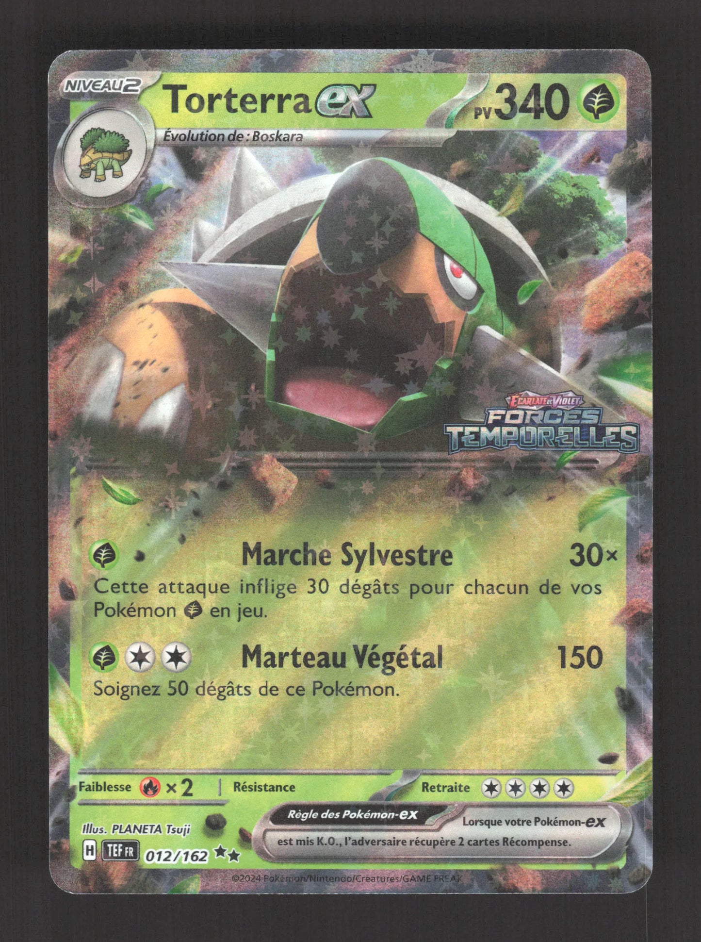 012/162 Torterra EX STAMP - Forces Temporelles - STAMP
