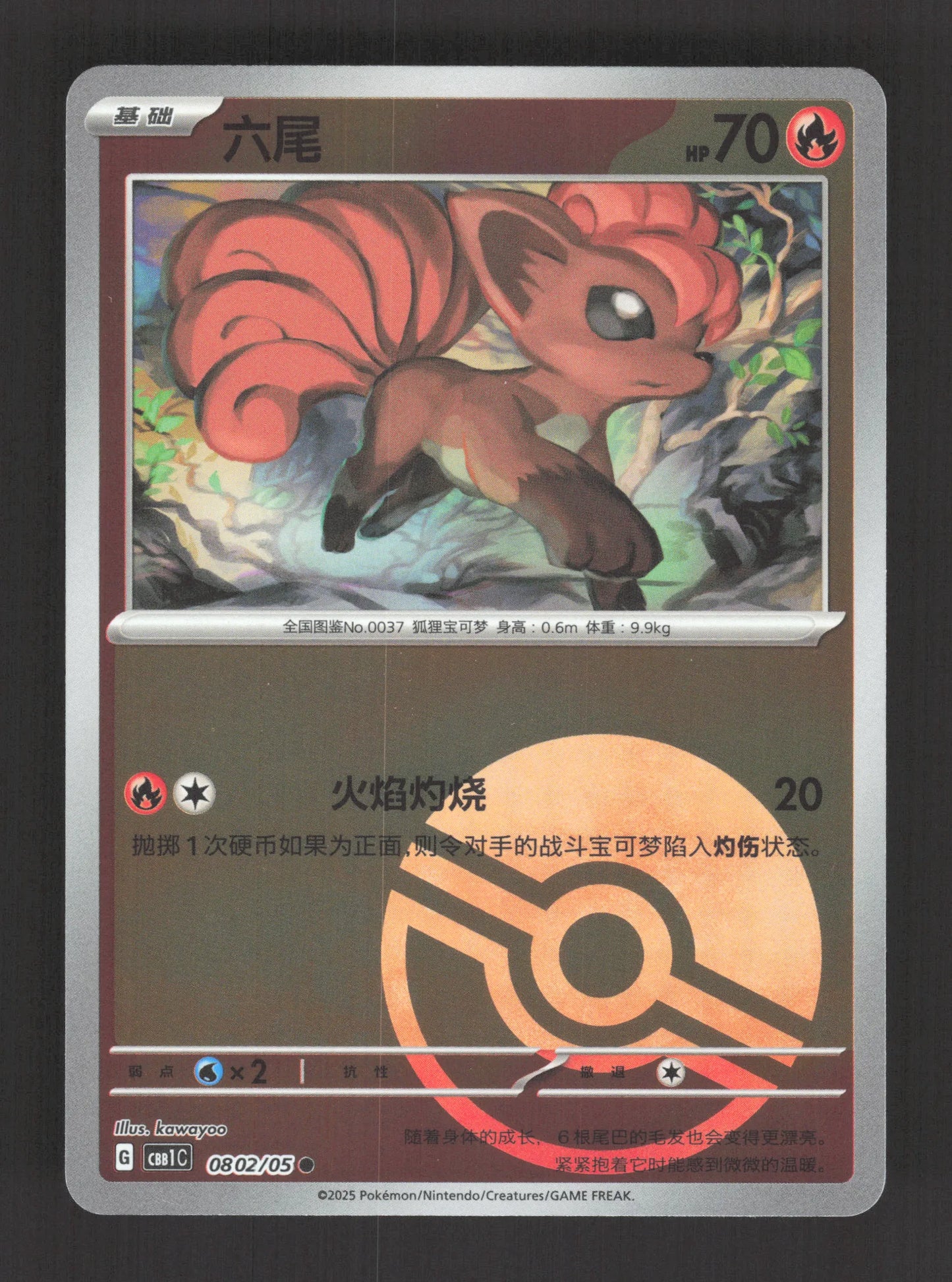 0802/05 Goupix POKEBALL CN - Chinois