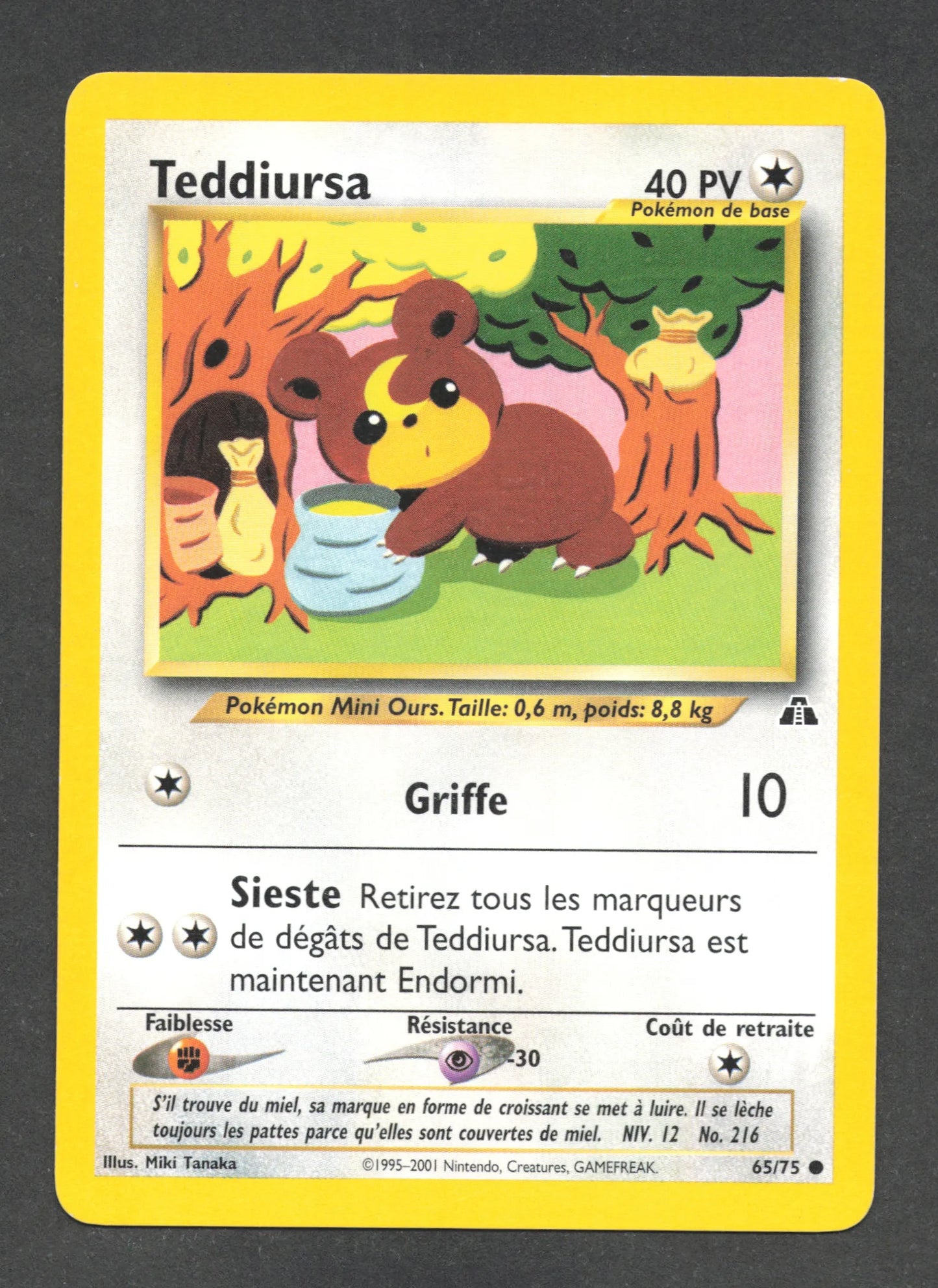 65/75 Teddiursa CO - Neo Discovery