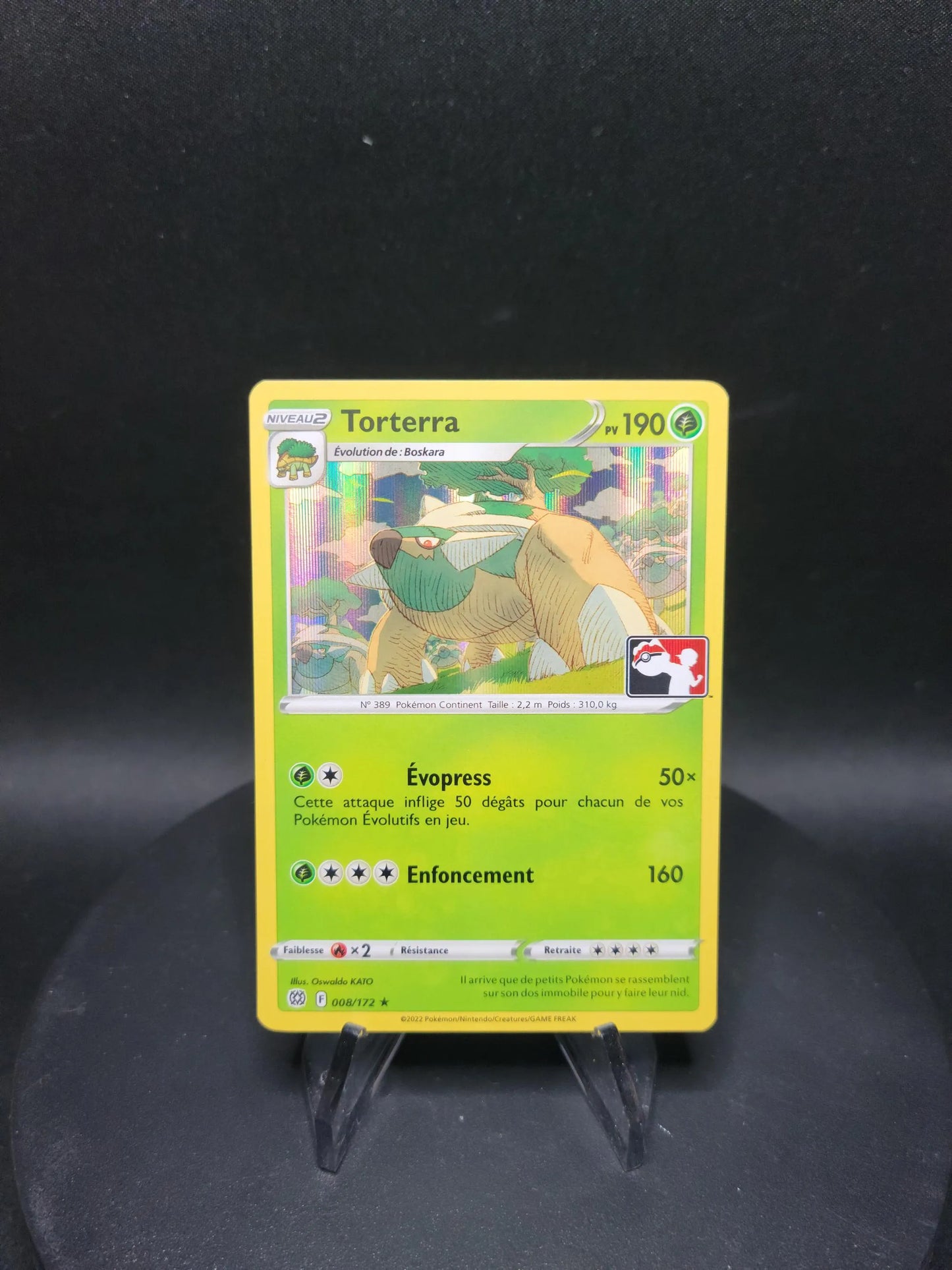 008/172 Torterra HOLO PLAY - Pokemon Play