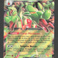 014/142 Pomdorochi EX - Couronne Stellaire