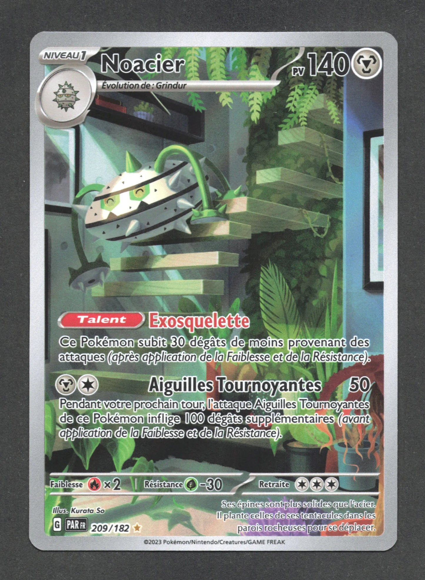 209/182 Noacier AR - Faille Paradoxe