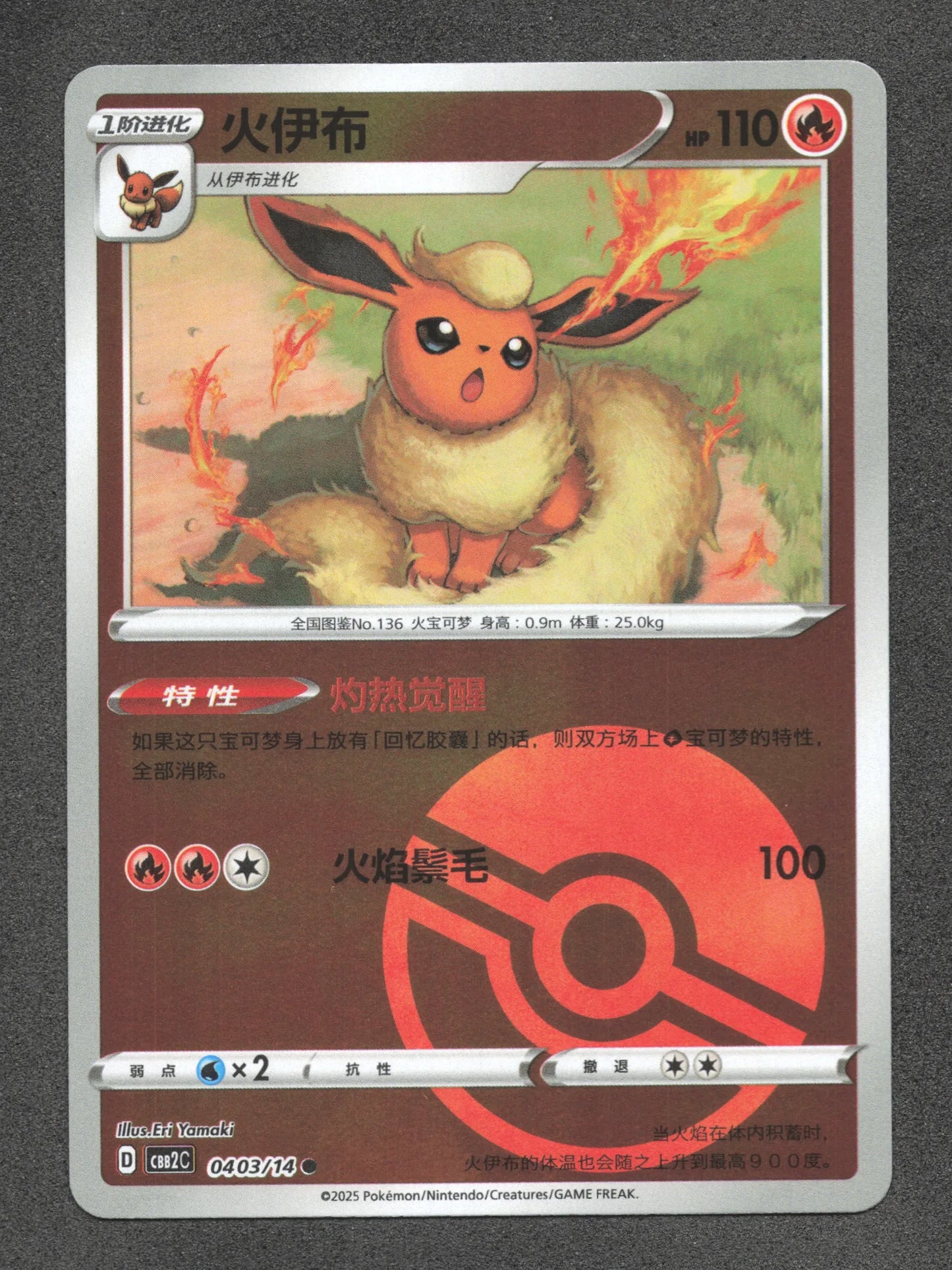 0403/14 Pyroli POKEBALL CN - Chinois