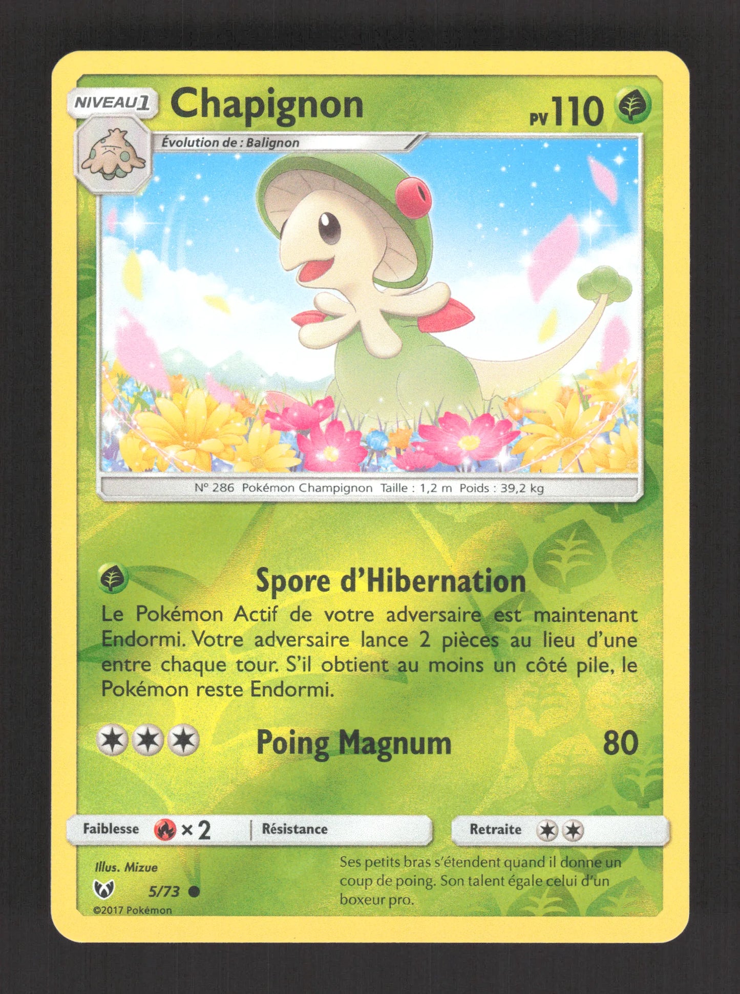 5/73 Chapignon REVERSE - Légendes Brillantes