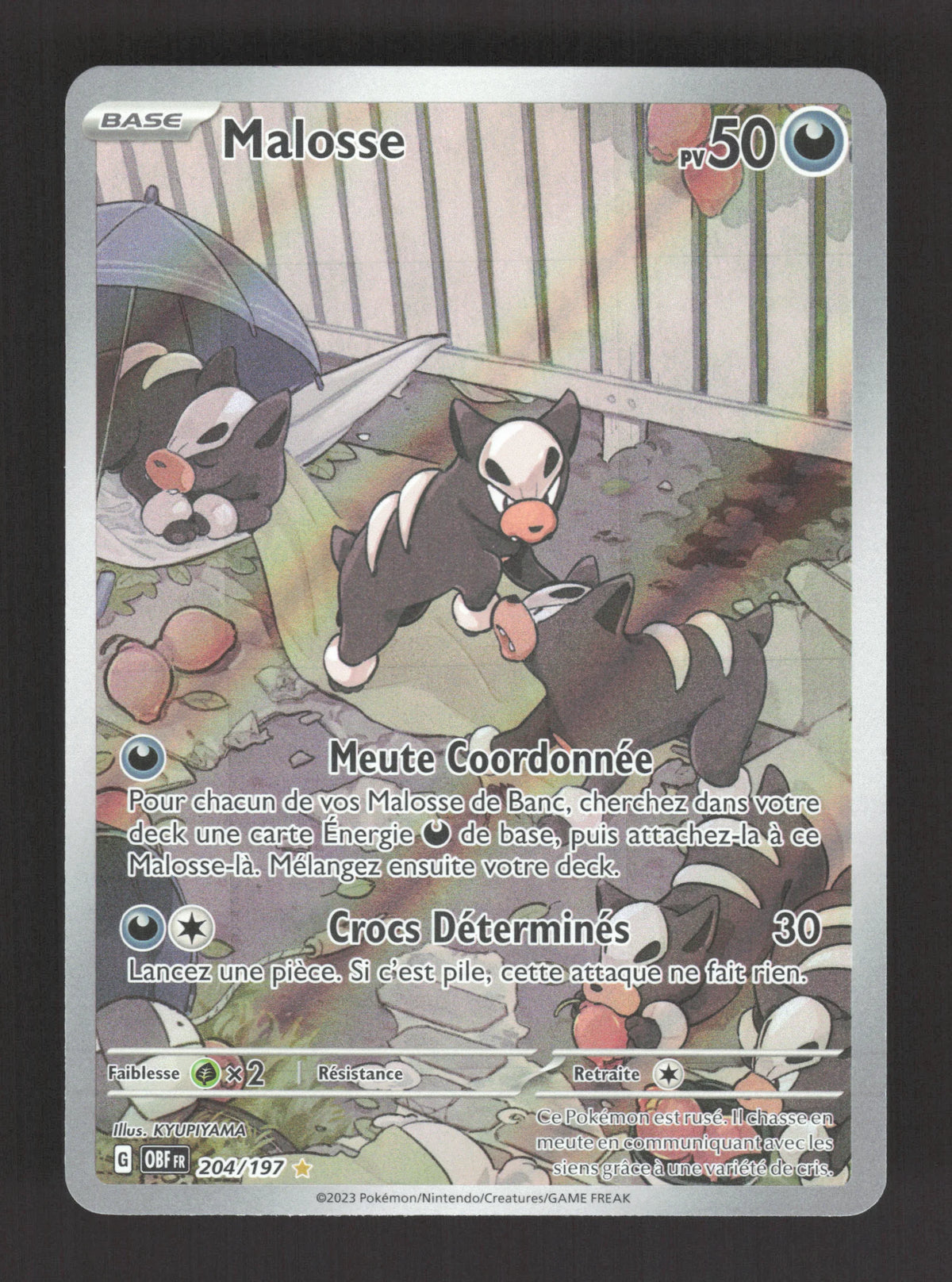 204/197 Malosse AR - Flammes Obsidiennes