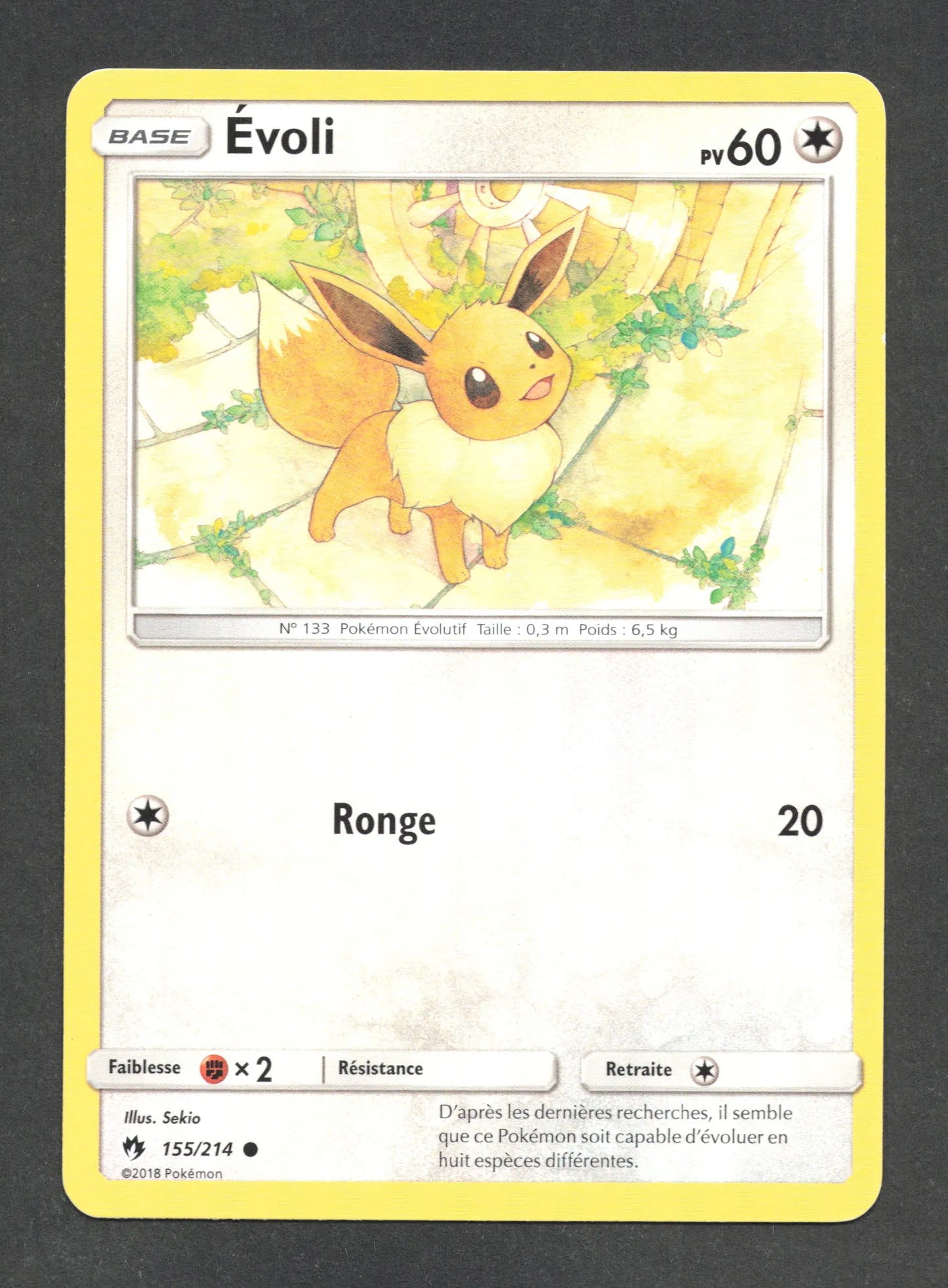 155/214 Evoli CO - Tonnerre Perdu