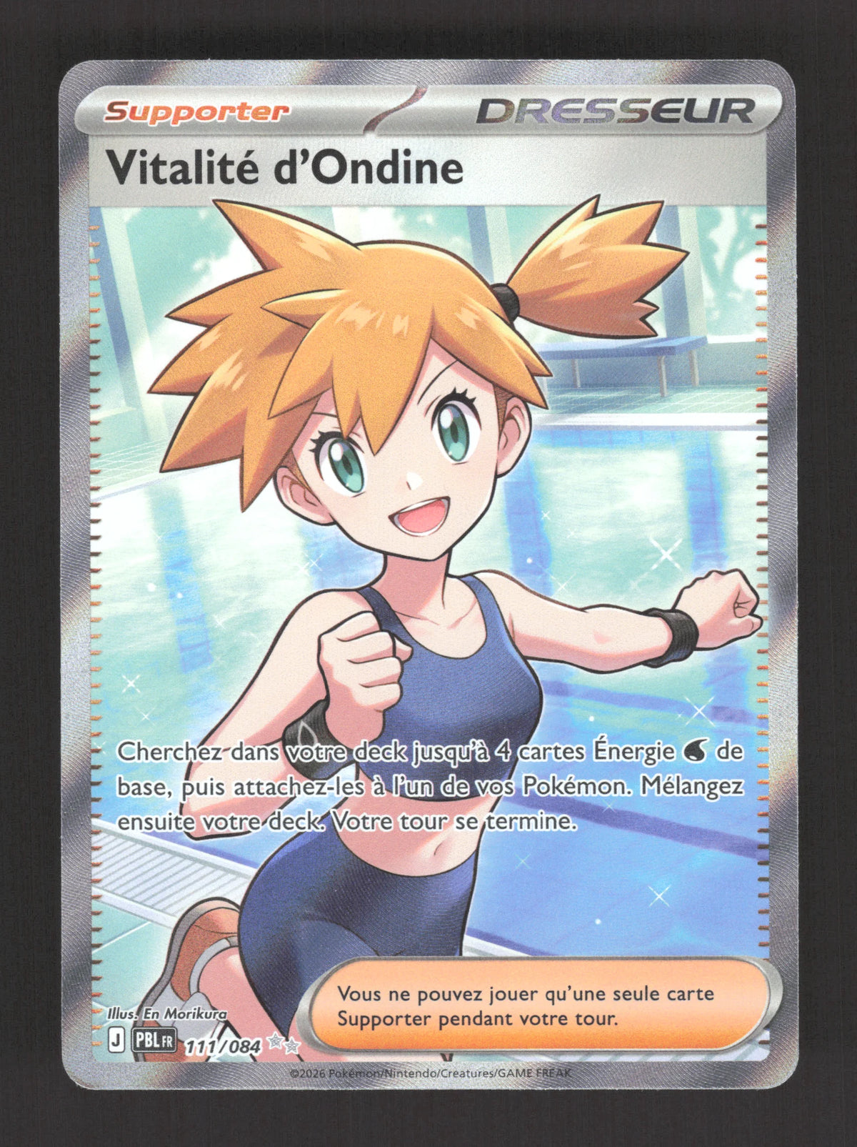 111/084 Vitalite de Ondine DRESSEUR - Nuit Noire