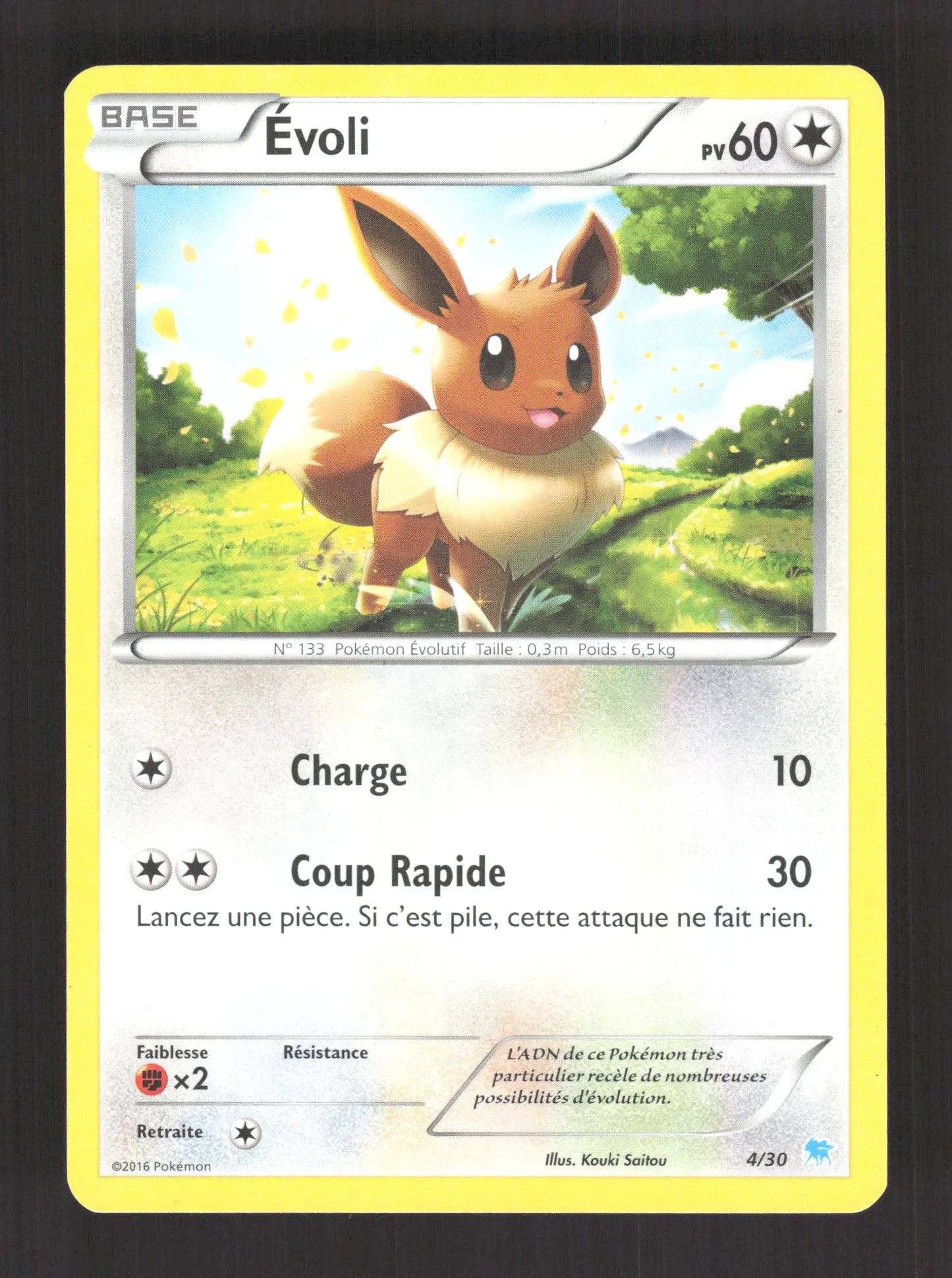 4/30 Evoli CO - XY Trainer Kit (Suicune)