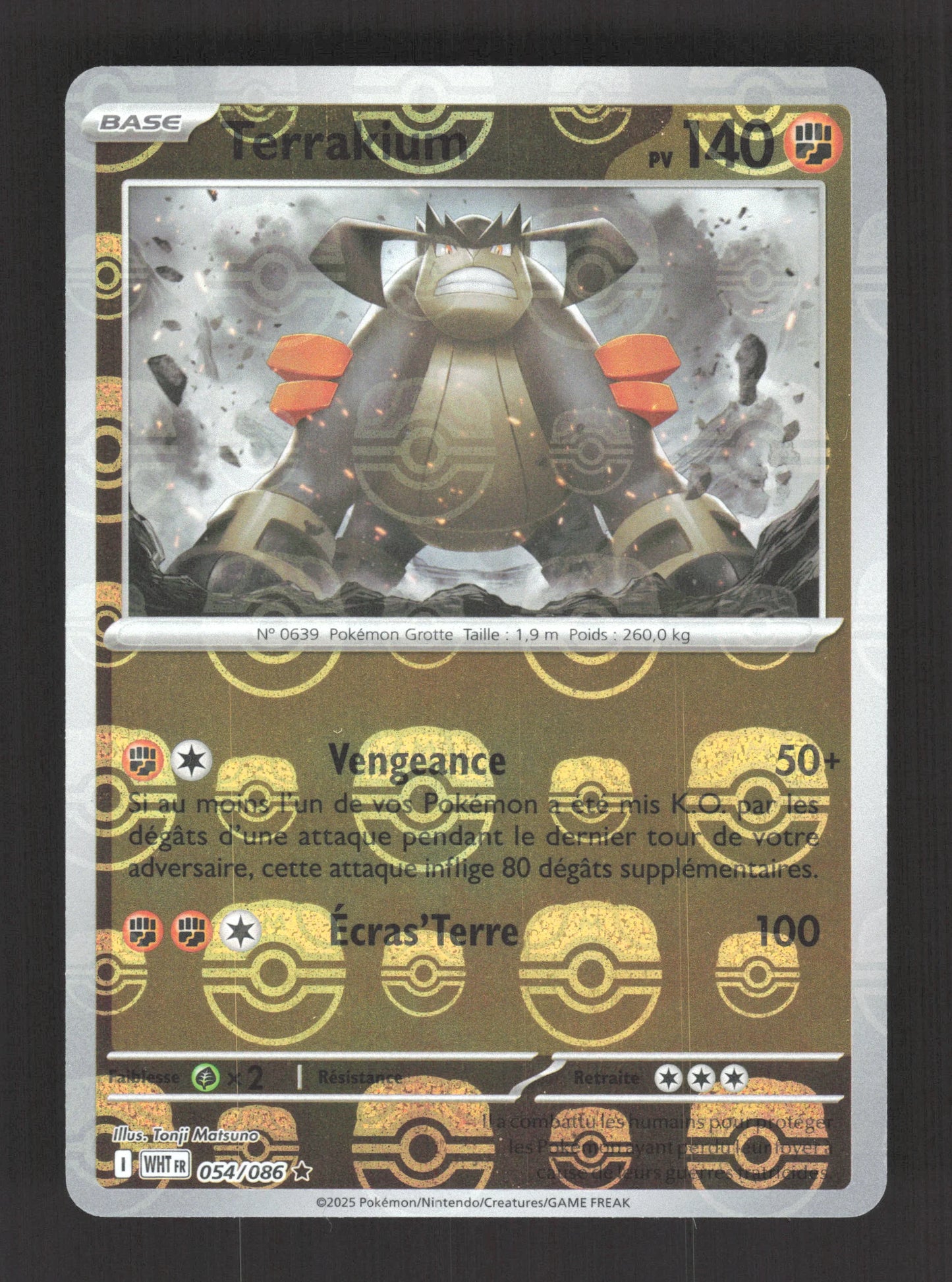054/086 Terrakium MASTERBALL - Flamme Blanche