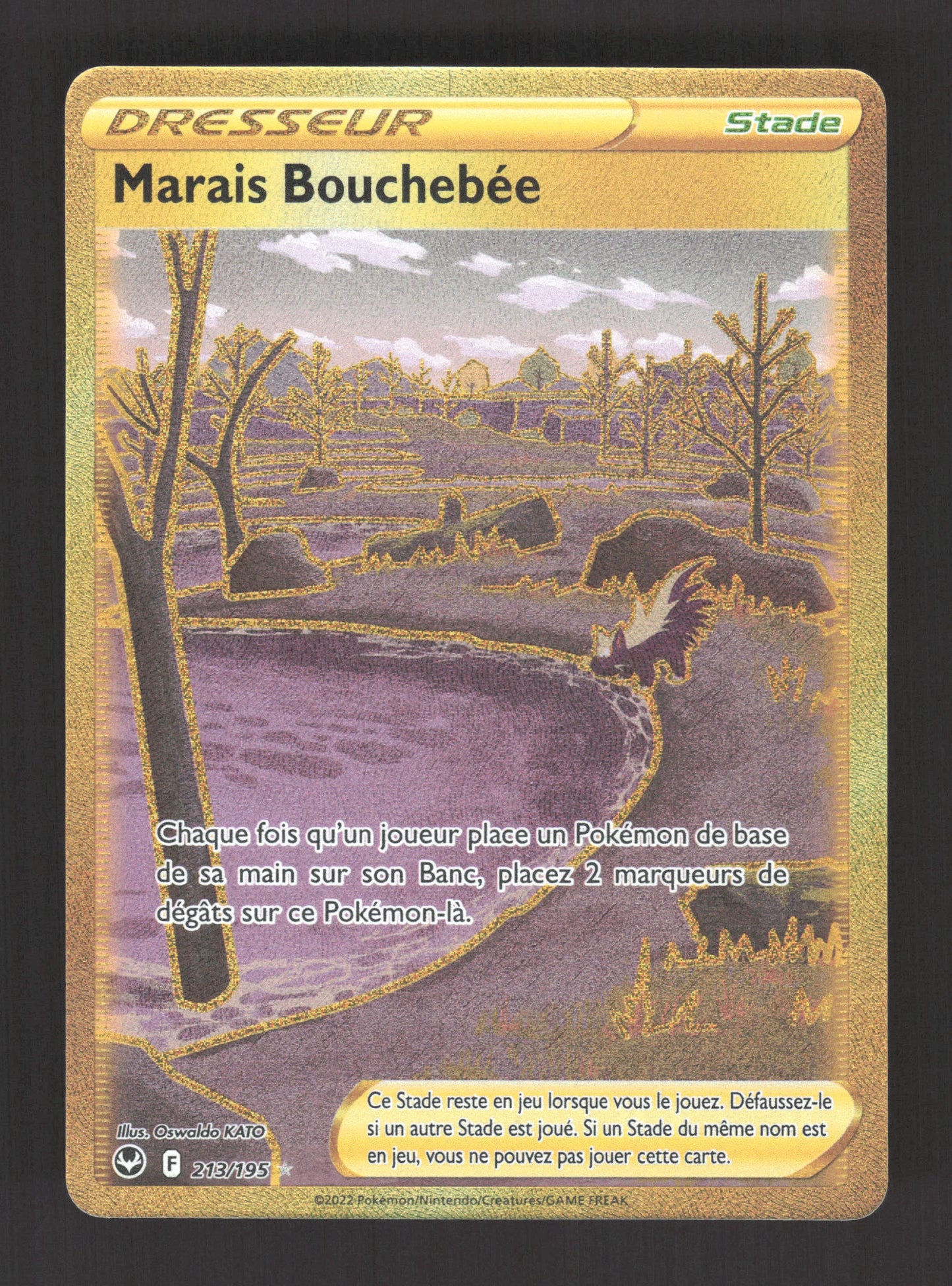 213/195 Marais Bouchebee DRESSEUR - Tempête Argentée