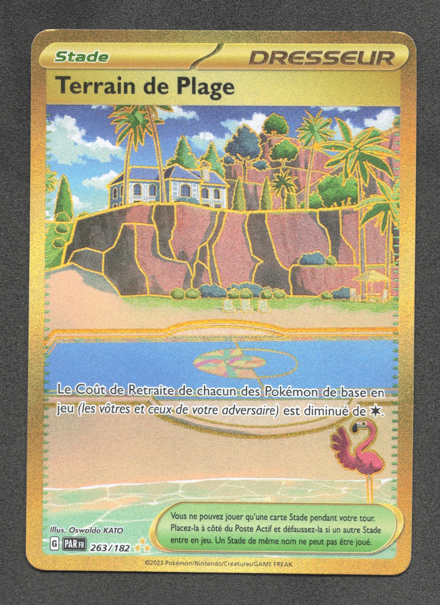 263/182 Terrain de Plage DRESSEUR - Faille Paradoxe