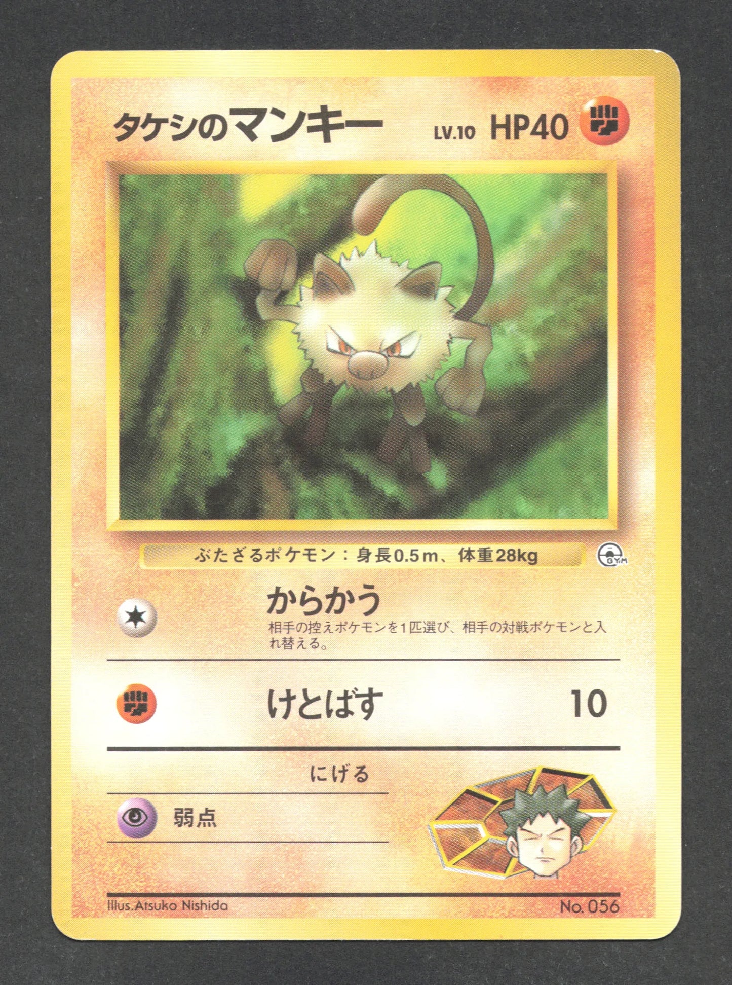056 Ferosinge CO JP - Nivi City Gym
