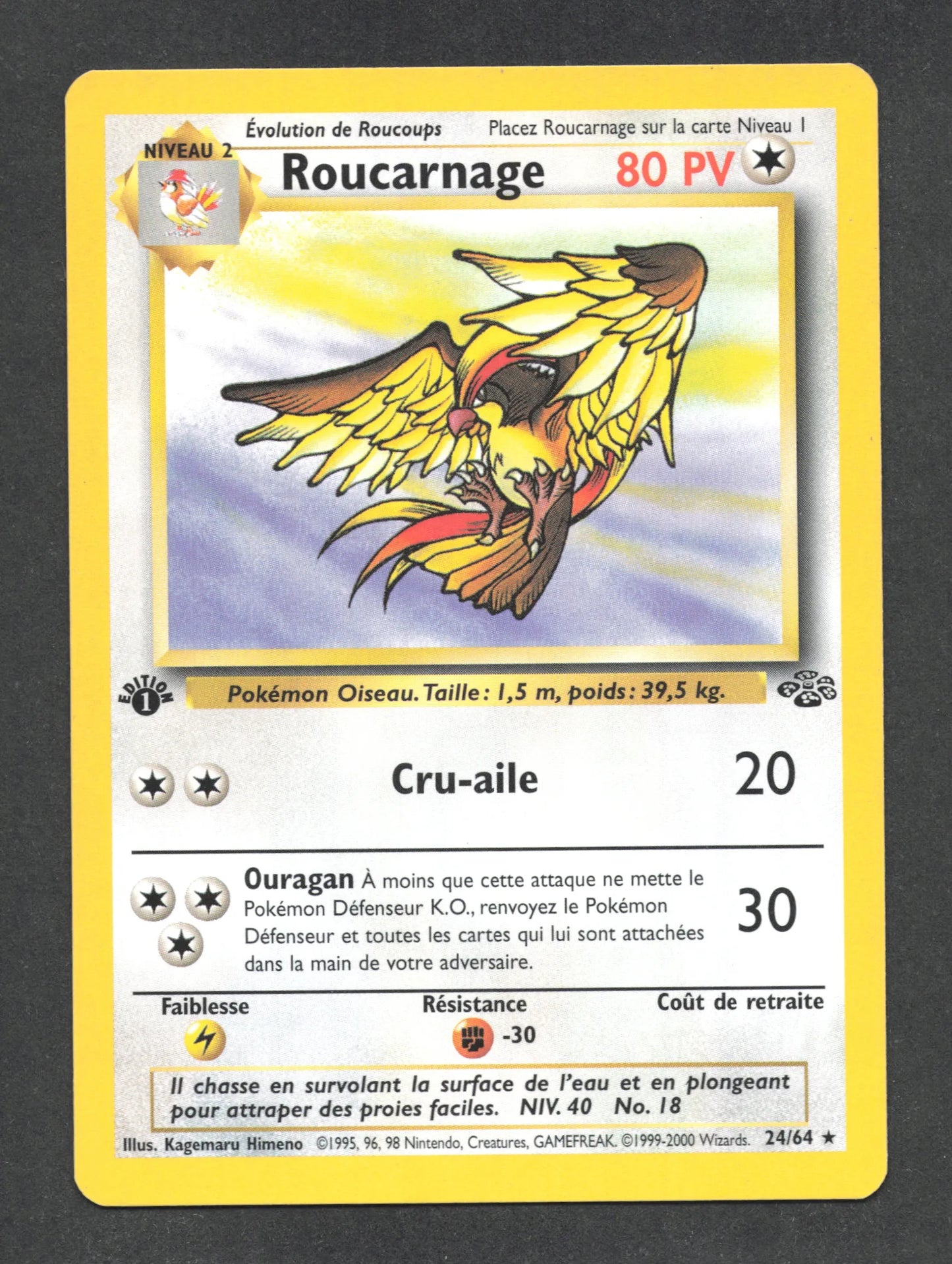 24/64 Roucarnage RARE ED1 - Jungle