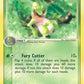 31/97 Grovyle REVERSE - Anglais