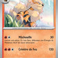 SVP011 Arcanin HOLO - Promo SV