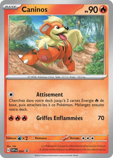 SVP124 Mashynn DRESSEUR - Promo SV